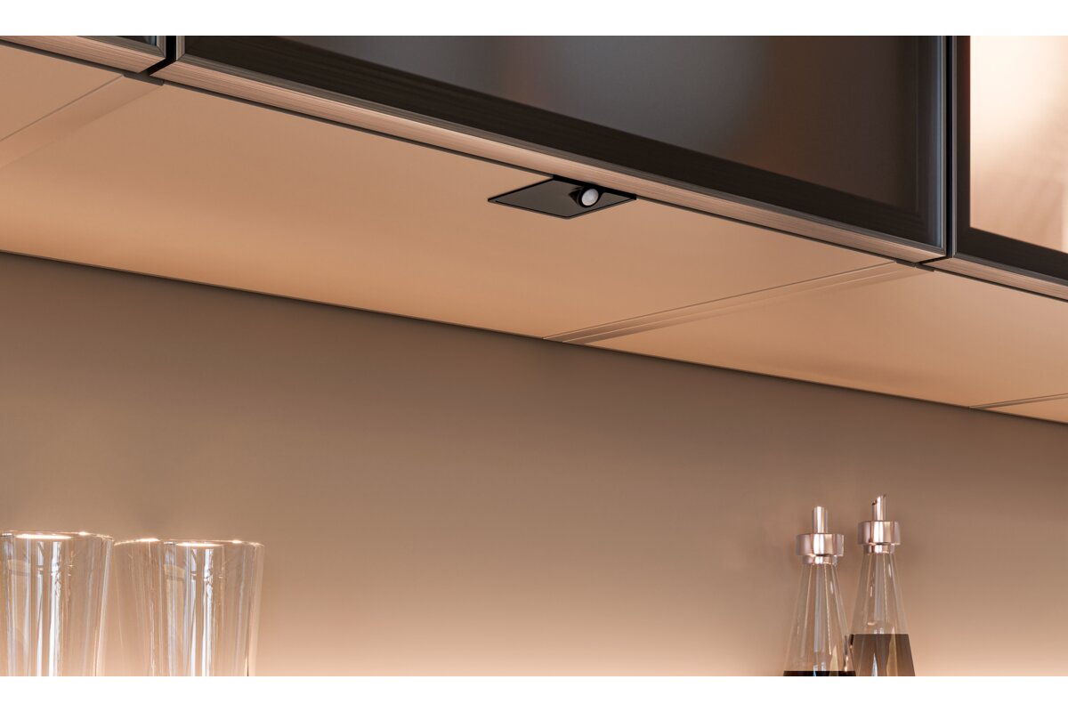 SKY Wireless Switch with PIR Dimmer for 12V/24V Power System